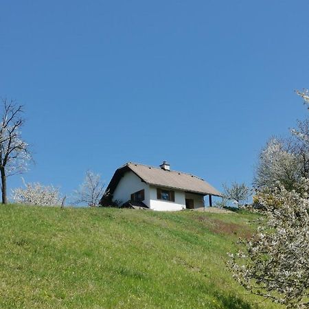 Apartma Pusa Pesnica pri Mariboru Экстерьер фото