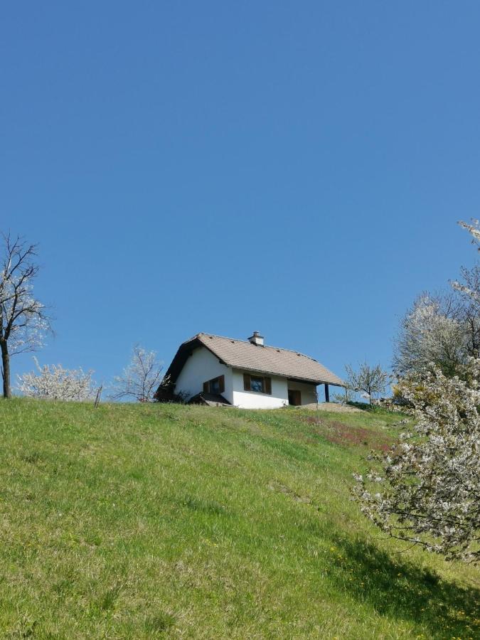 Apartma Pusa Pesnica pri Mariboru Экстерьер фото